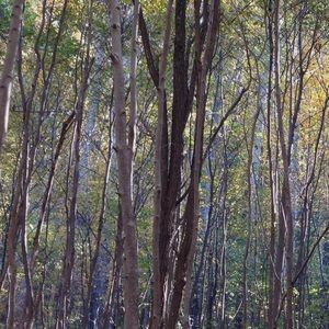 Meet your Posher, Gretchen